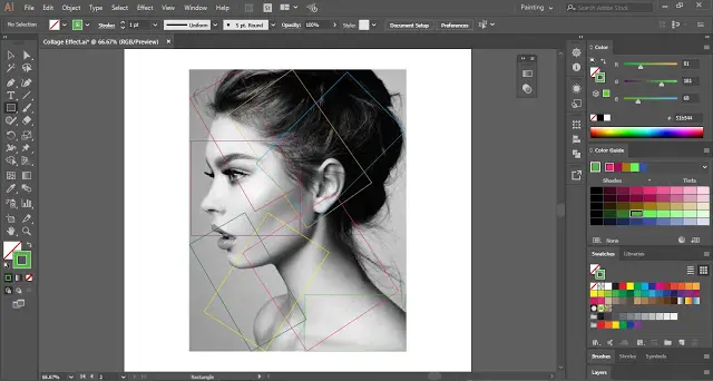 Collage Effect in Adobe Illustrator