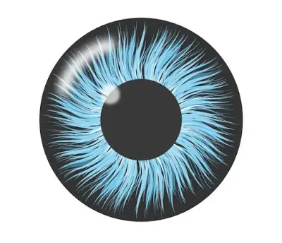 Realistic Eye Lens in Adobe Illustrator