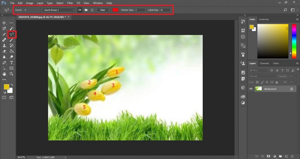 Photoshop Tools