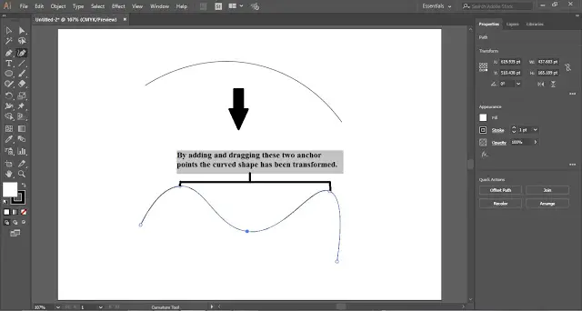 Curvature Tool in Adobe Illustrator