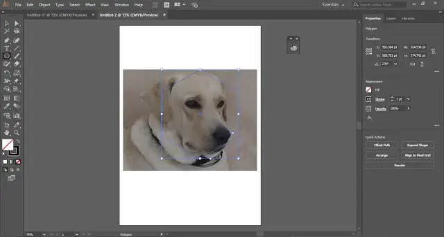 Clipping Mask in Illustrator