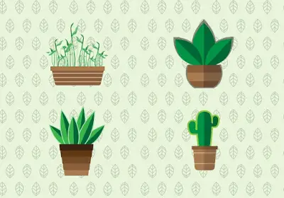 Flat Potted Plant in Adobe Illustrator