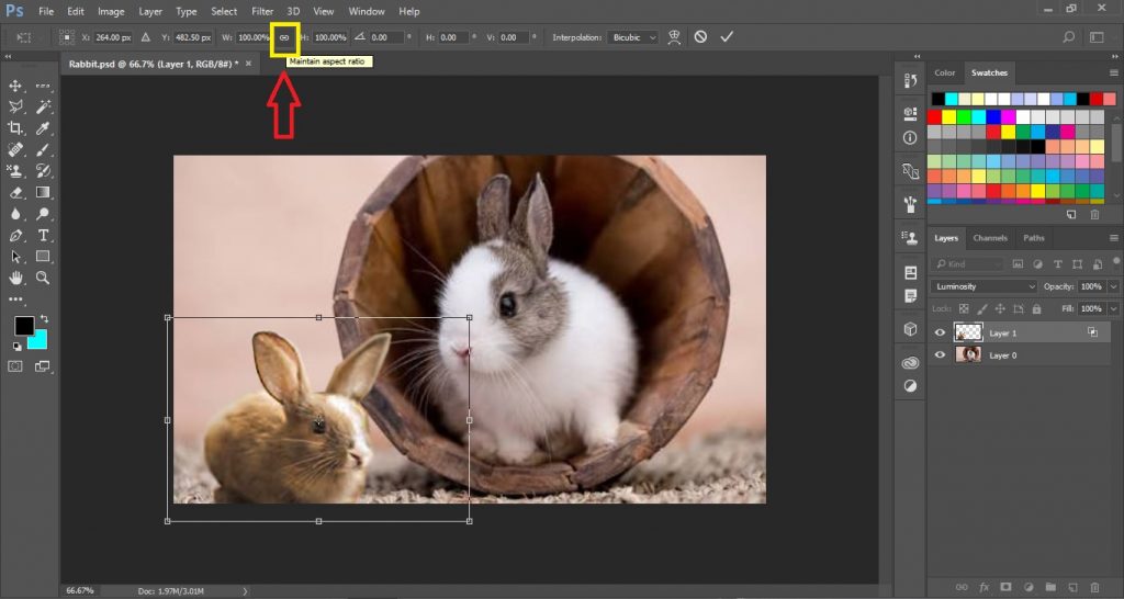 Select Chain Icon to Maintain Aspect Ratio