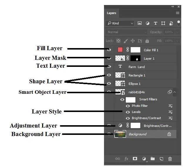 Types of Layers in Photoshop