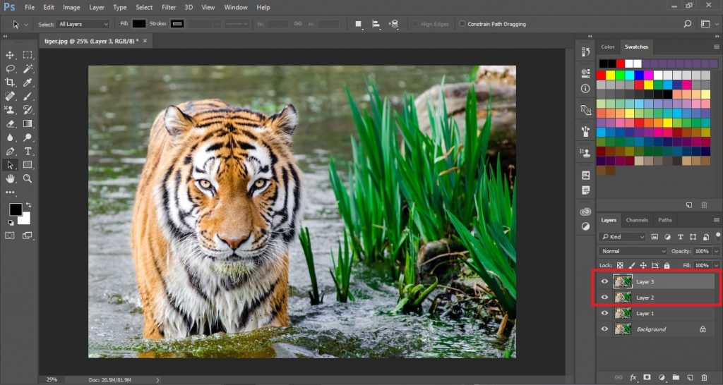 Create more duplicate layers