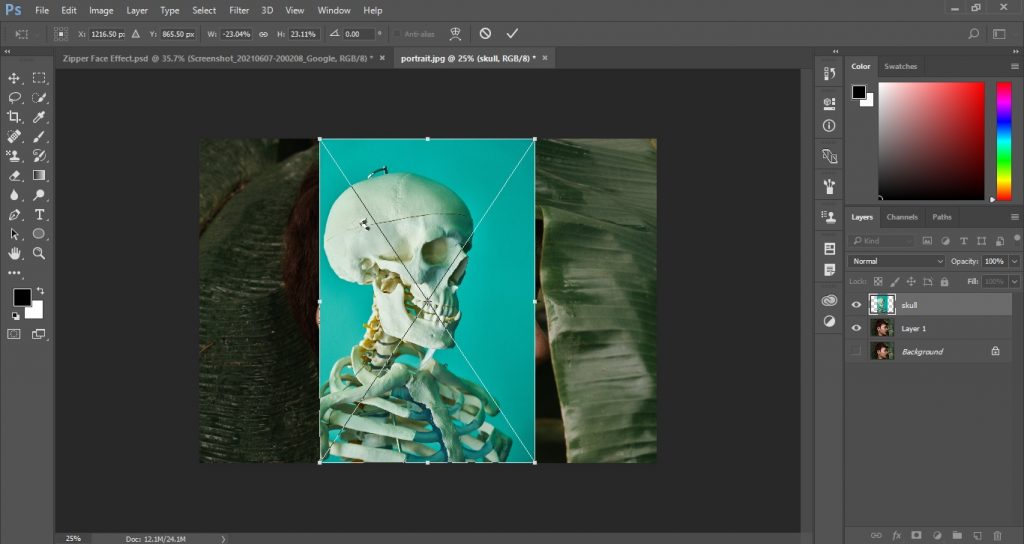 Open the skull image