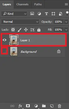 create a duplicate layer
