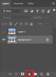 Click on Create New Fill or Adjustment Layer