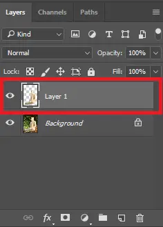 Create a duplicate layer with the selection.